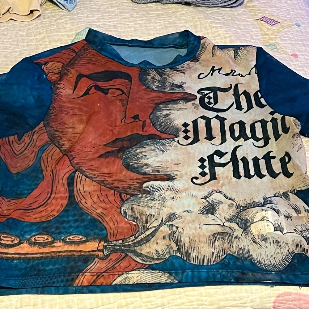 Graphic mesh crop top